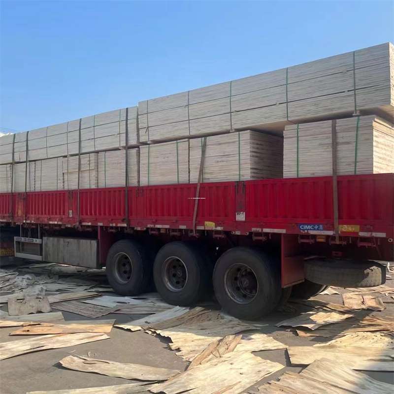 河南驻马店驿城到新疆阿勒泰吉木乃县物流公司，专业物流服务助您成功